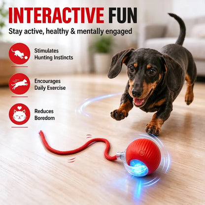 Interactive Usb-Rechargeable Smart Rolling String Cat Toy Ball - Light-Up, Quiet Adjustable Mode, Bite-Wear Resistant, Shatterproof, Non-Toxic, Replaceable Wavy-Texture Shell, 8-Color Indoor Kitten Hunting Toy with Bird Sound Automatic Moving